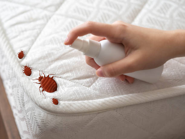 Flea Control Services in La Plata, MD